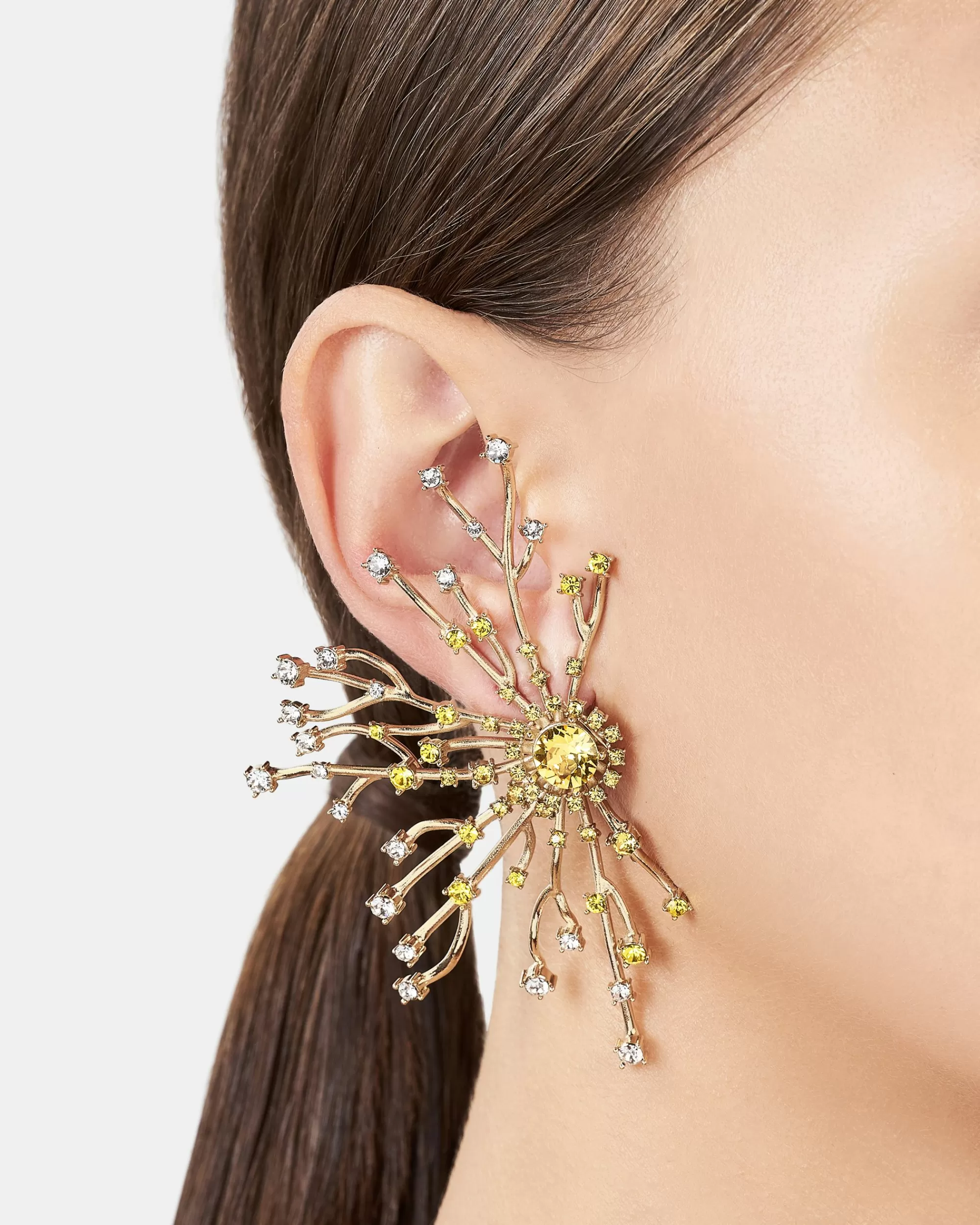crystal_roots_earrings_3-1.webp Aquazzura Crystal Roots Earrings | Jewelry